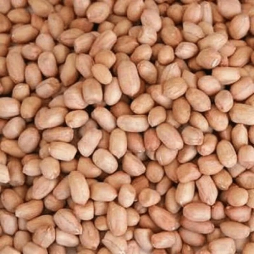 KACANG TANAH BESAR 花生(大)