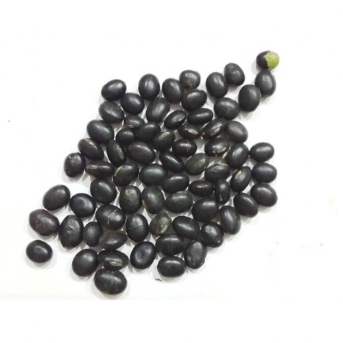KACANG HITAM 黑豆
