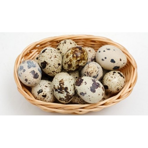SBL TELUR BURUNG PUYUH 20BIJI