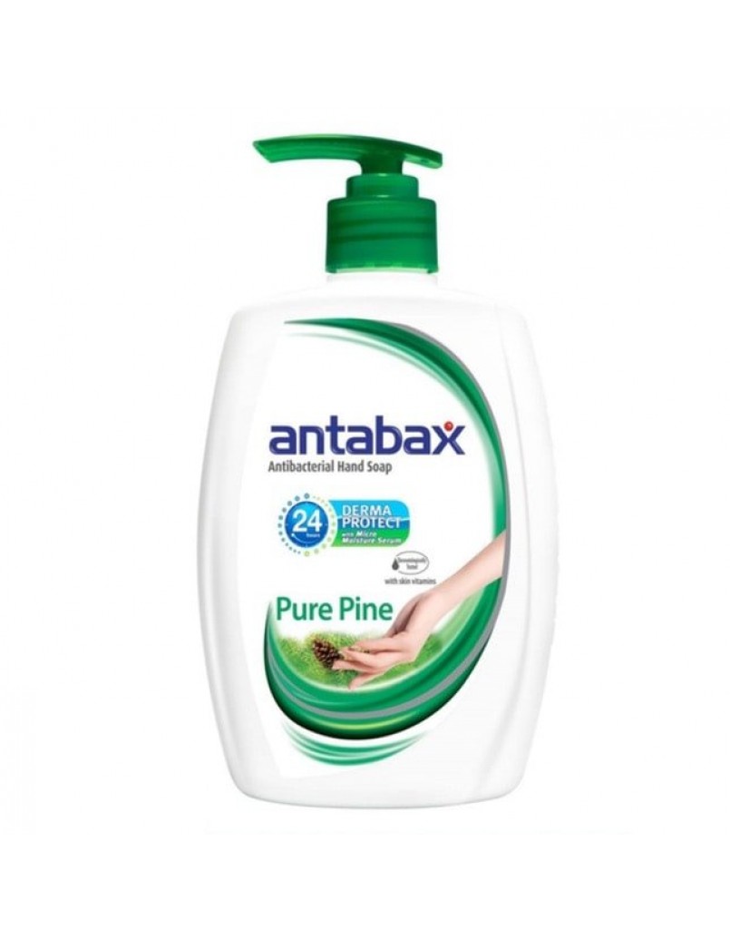 ANTABAX HAND WASH (PURE PINE) 450ML