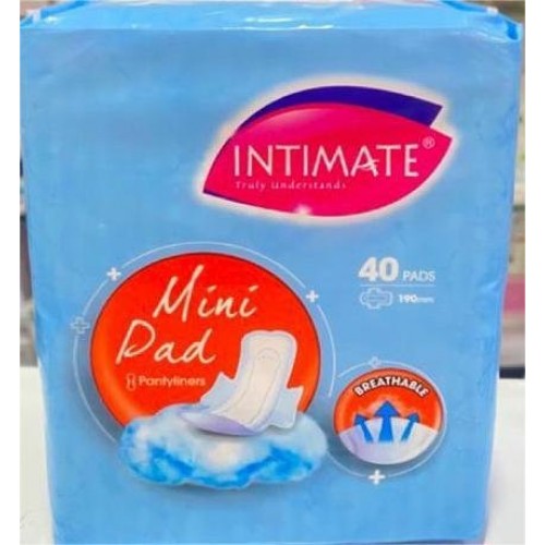 P80 INTIMATE MINIPAD WINGS 40'S