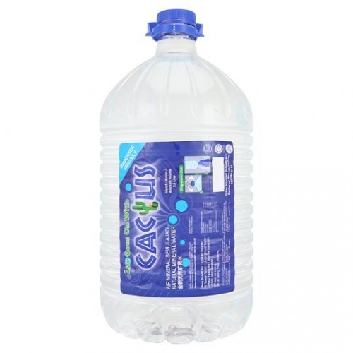 CACTUS MINERAL WATER 9.5L