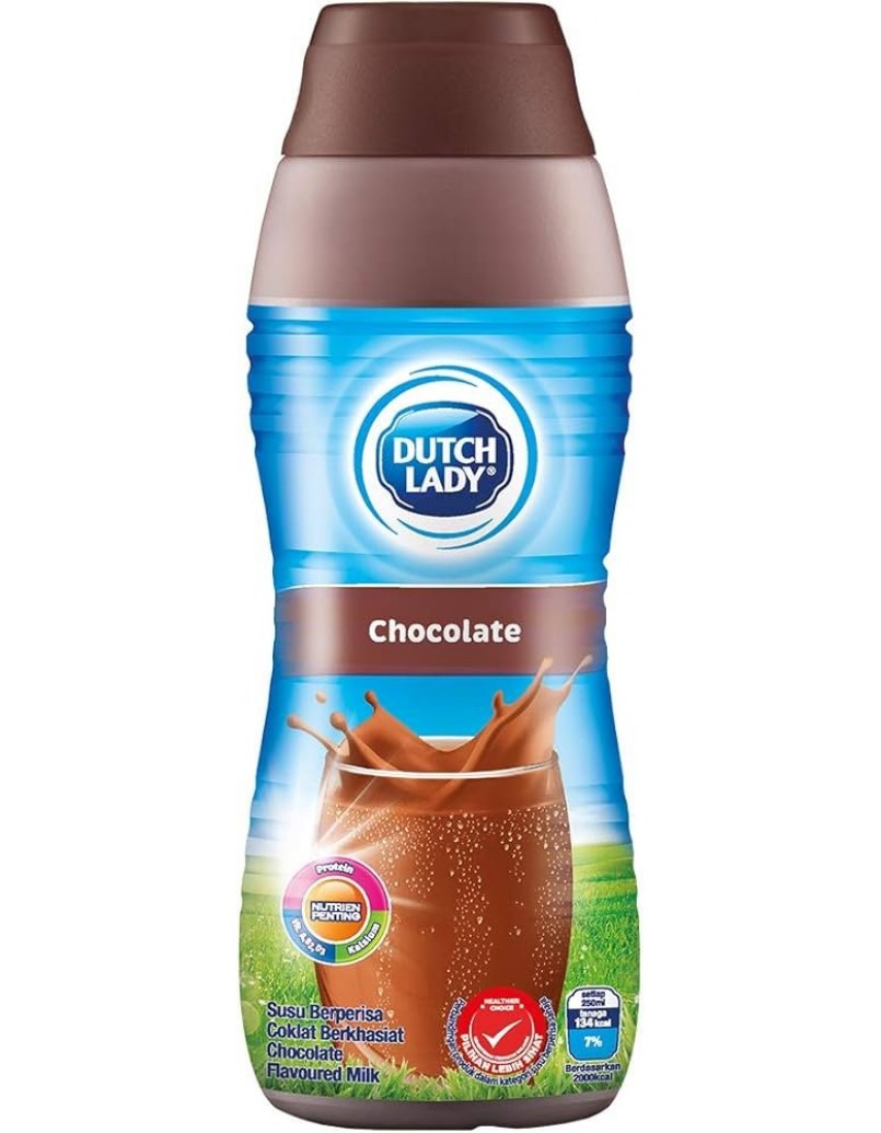 DUTCH LADY CHOCOLATE MILK 450ML